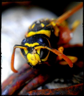 IMG_20160325_144014_835